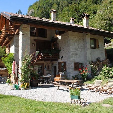 B&B Villa Ca'Praja Daone Zewnętrze zdjęcie