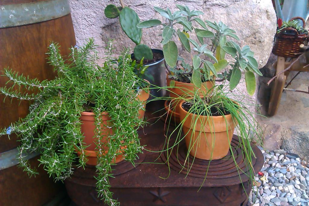 B&B Villa Ca'Praja Daone Zewnętrze zdjęcie