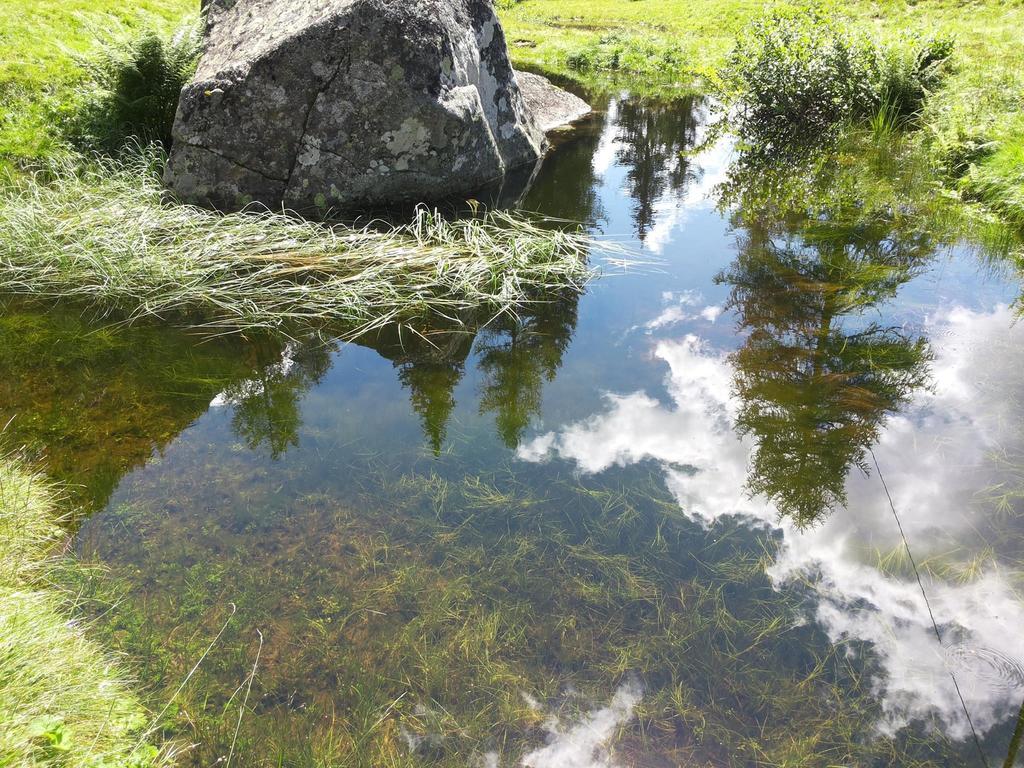 B&B Villa Ca'Praja Daone Zewnętrze zdjęcie