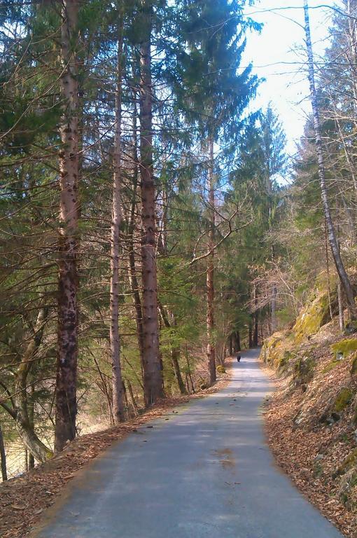 B&B Villa Ca'Praja Daone Zewnętrze zdjęcie