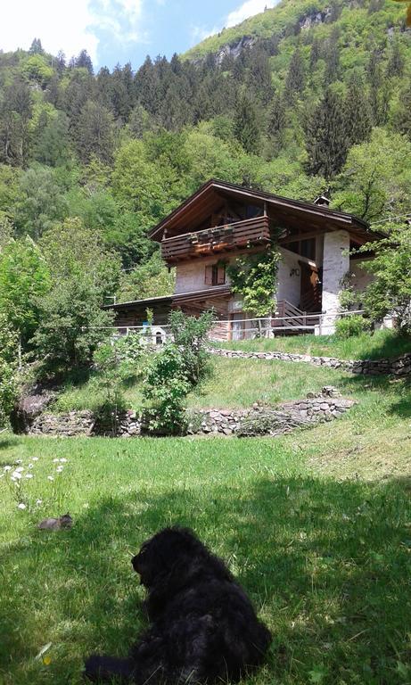 B&B Villa Ca'Praja Daone Zewnętrze zdjęcie